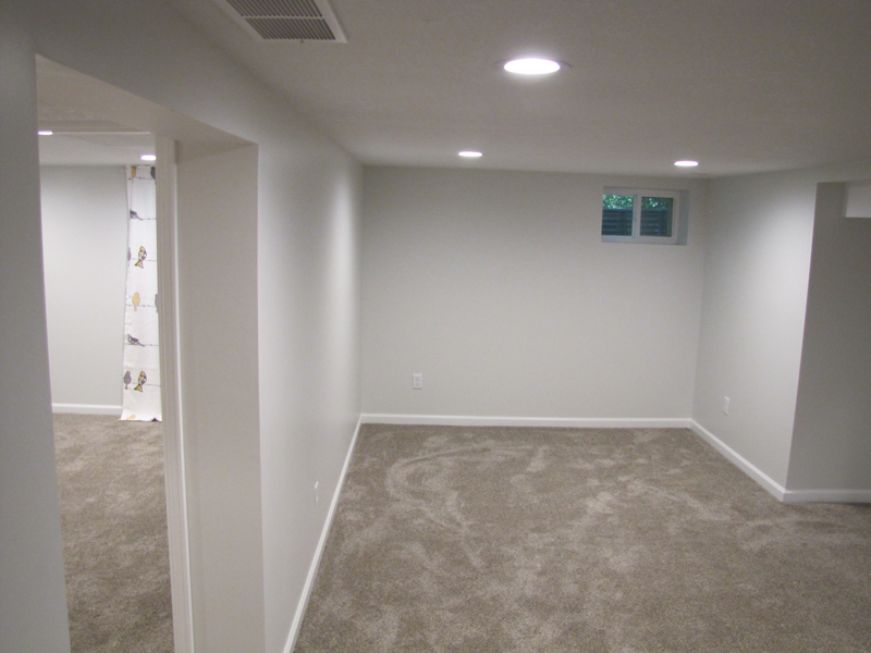 Basement Dreams