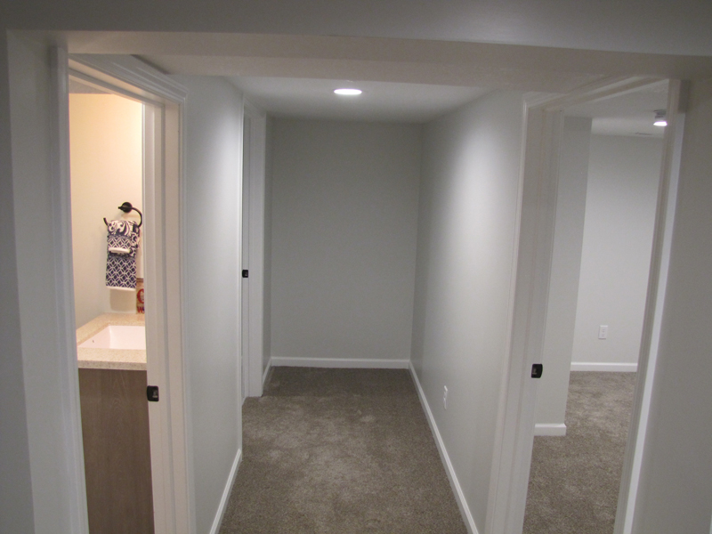 Basement Dreams